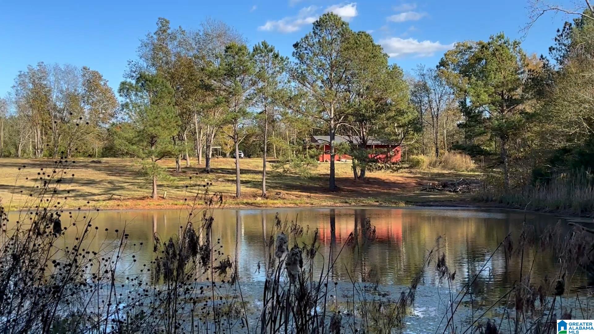 3294 Brady Road, Unit 24 ACRES Letohatchee, AL 36047 - Photo 10 of 44 Gallery Image 10