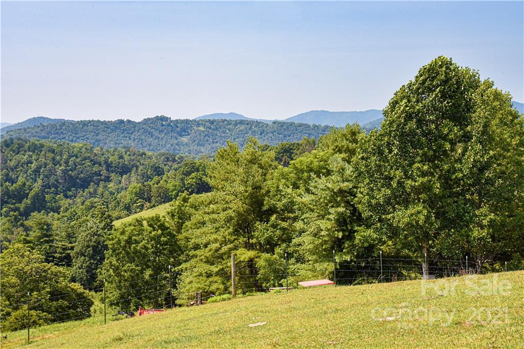 11 Laurel Branch Road Marshall, NC 28753 - Photo 3 of 47 Gallery Image 3