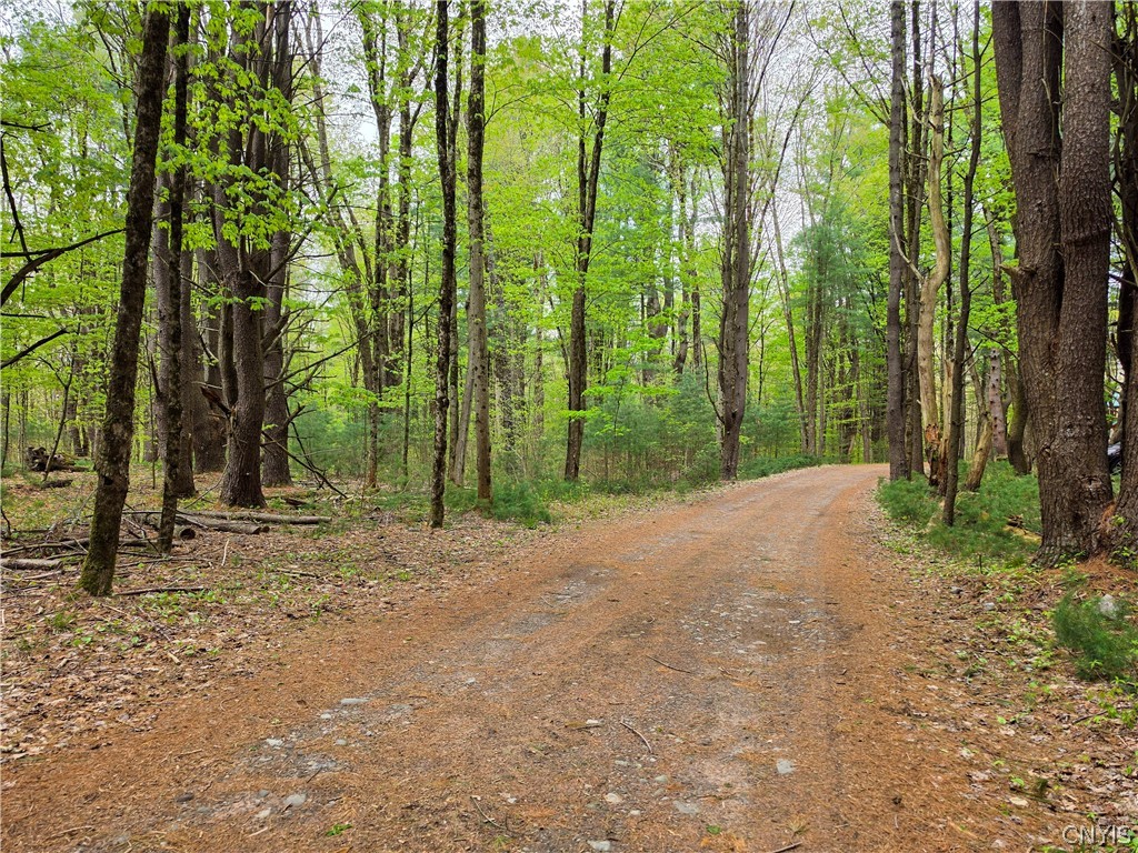 621 Tynan Road Vienna, NY 13042 - Photo 41 of 42