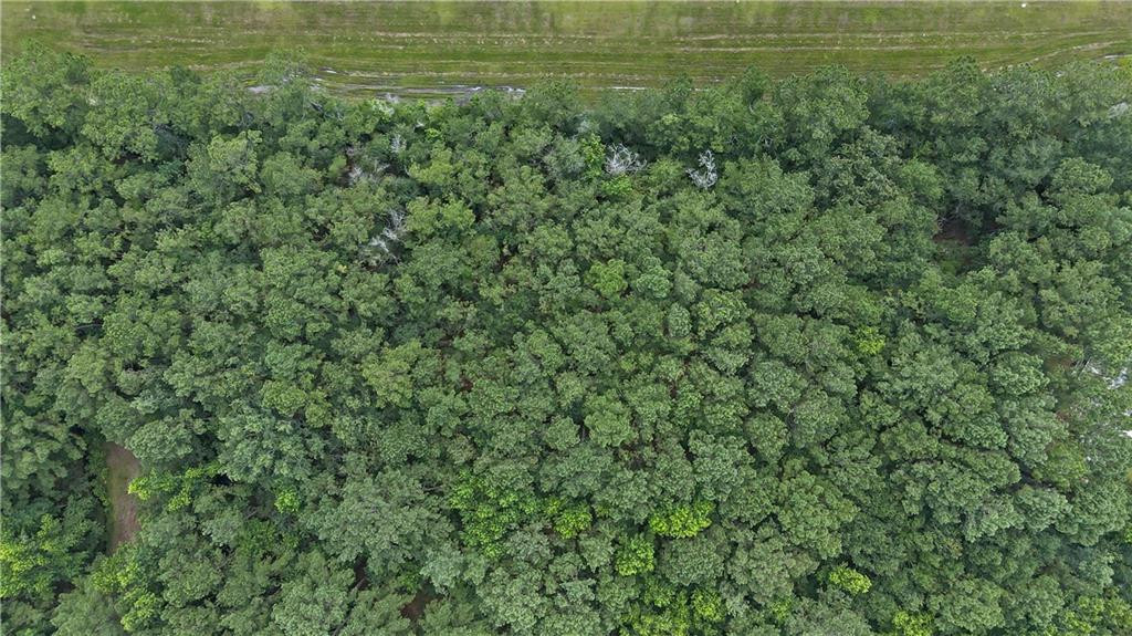 Lot 30 Freedom Trail Southwest, Unit 30 Townsend, GA 31331 - Photo 4 of 6