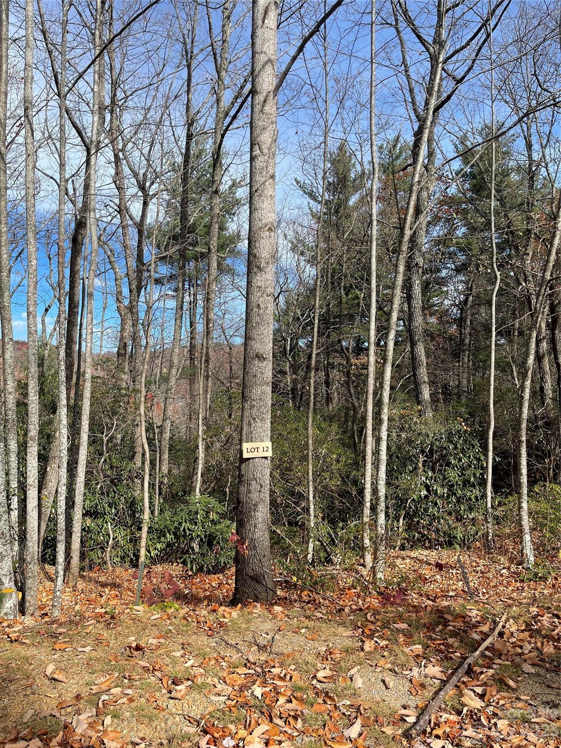 0 Eagle Ridge Road Zirconia, NC 28790 - Photo 2 of 5 a view of a yard with plants and trees