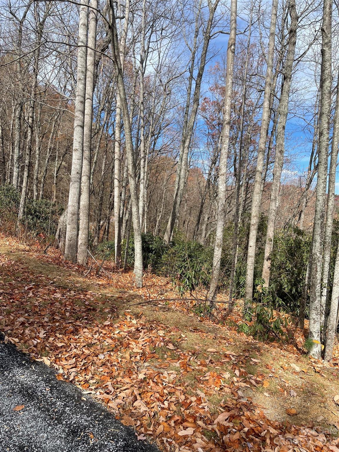 0 Eagle Ridge Road Zirconia, NC 28790 - Photo 3 of 5 a backyard of a house with lots of green space