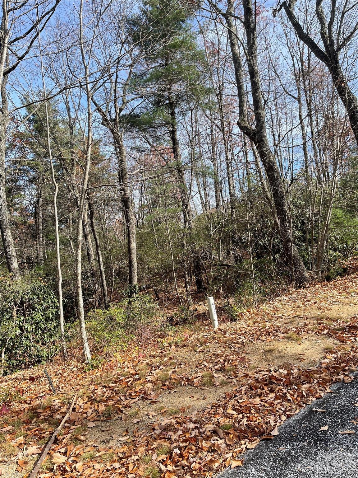 0 Eagle Ridge Road Zirconia, NC 28790 - Photo 5 of 5 a backyard of a house with lots of green space