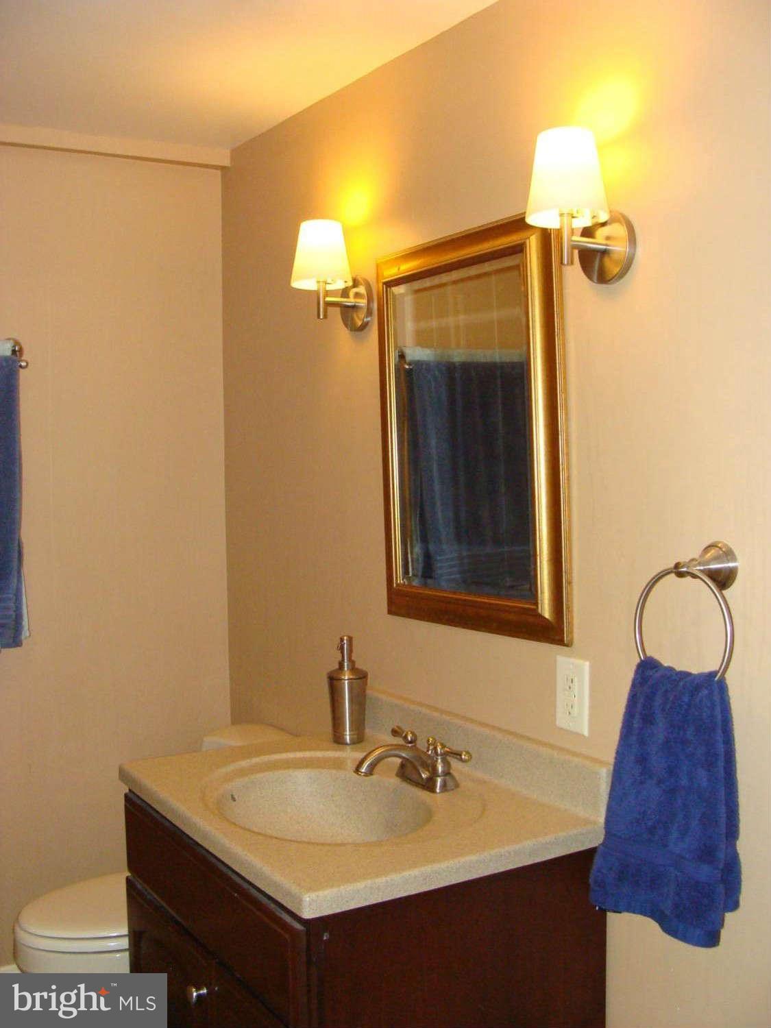 15408 Bond Mill Road Laurel, MD 20707 - Photo 22 of 30 Bath Lower Level