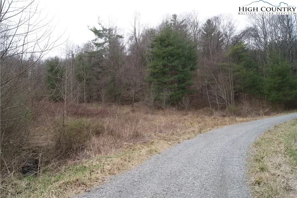 $28,800 | Lot 62 Laurel Mountain Drive, Sparta, NC 28675