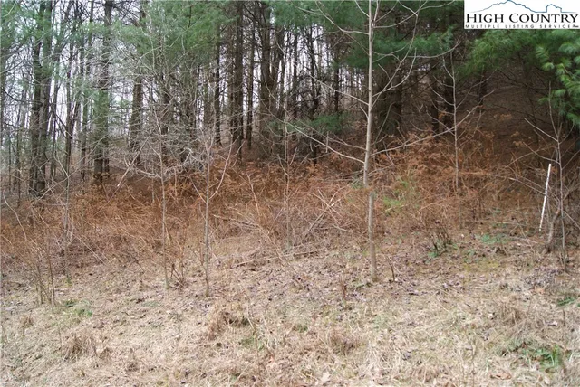 $28,800 | Lot 62 Laurel Mountain Drive, Sparta, NC 28675
