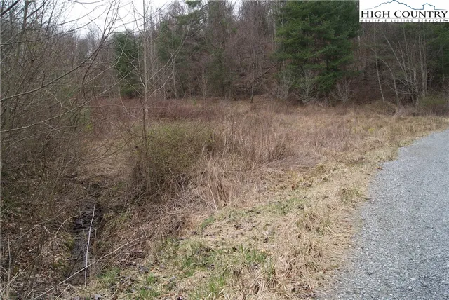 $28,800 | Lot 62 Laurel Mountain Drive, Sparta, NC 28675
