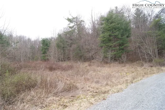 $28,800 | Lot 62 Laurel Mountain Drive, Sparta, NC 28675