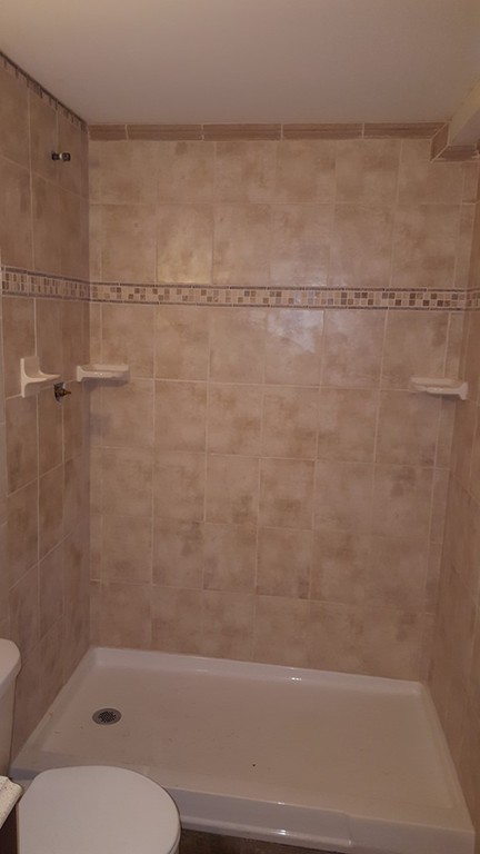 4 Mary Street Springfield, MA 01118 - Photo 16 of 16 a bathroom with a shower and a toilet