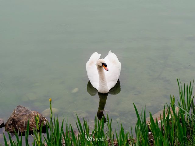a view of a house with a patio