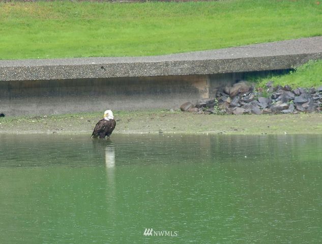 a room with lots of furniture and wooden floor