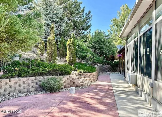 a view of a yard with plants and trees