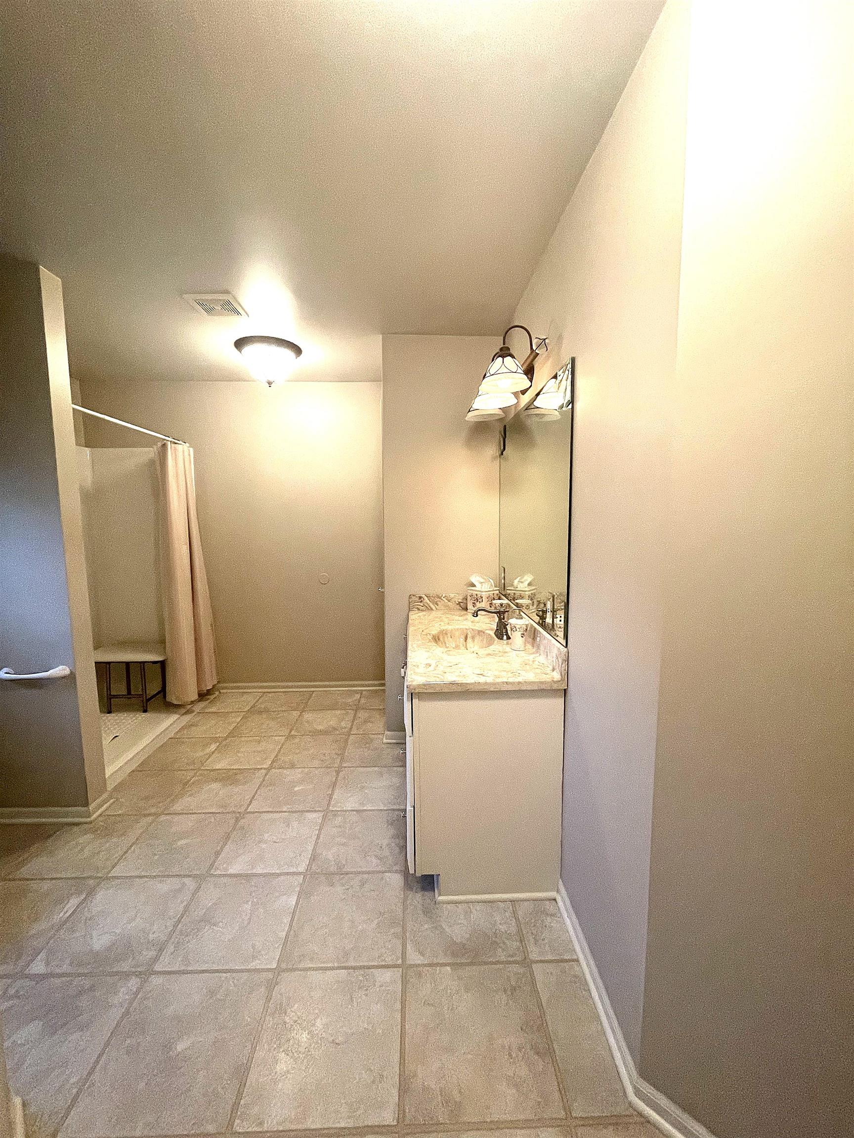 950 Iowa Street Alma, MI 48801 - Photo 37 of 72 Walk in Shower ADA compliant