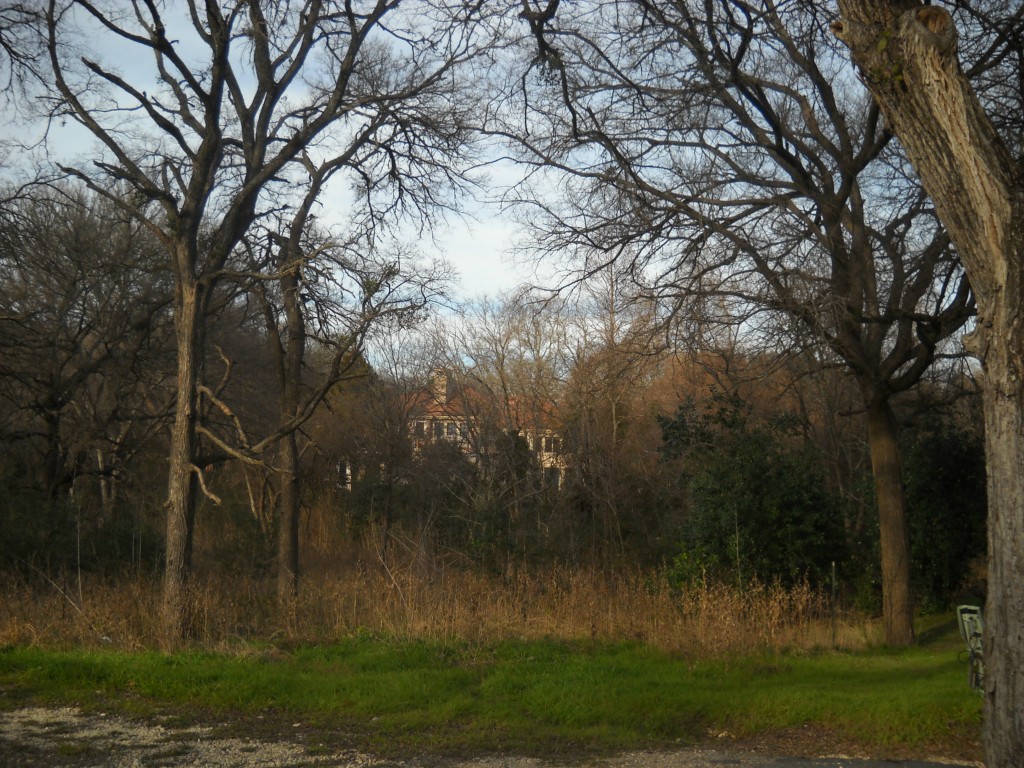 a view of a yard