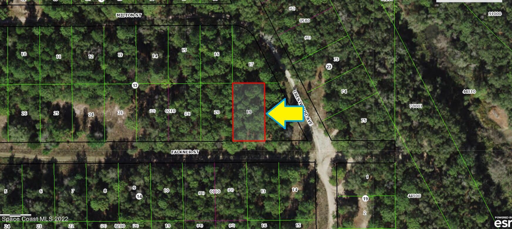 1902 Falkner Street Inverness, FL 34453 - Photo 2 of 5 a view of a back yard of a house