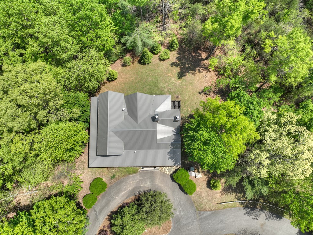 46 Cochise Road Cherry Log, GA 30522 - Photo 61 of 63