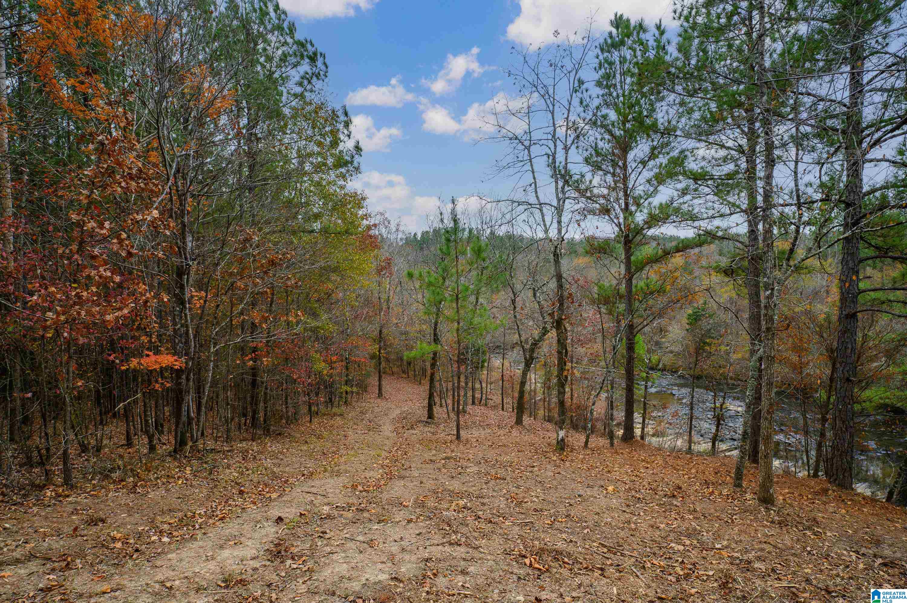 8799 Shades Fall Way, Unit 2 Bessemer, AL 35022 - Photo 31 of 45