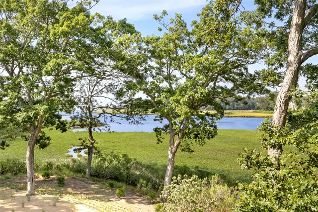 a view of a yard with a tree