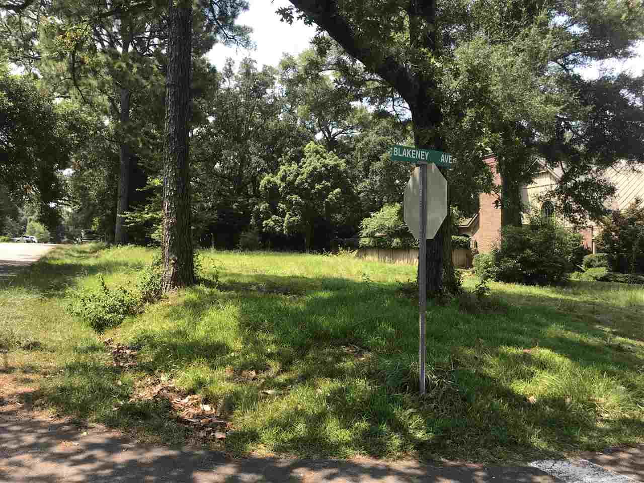 307 North Summit Street Fairhope, AL 36532 - Photo 4 of 5