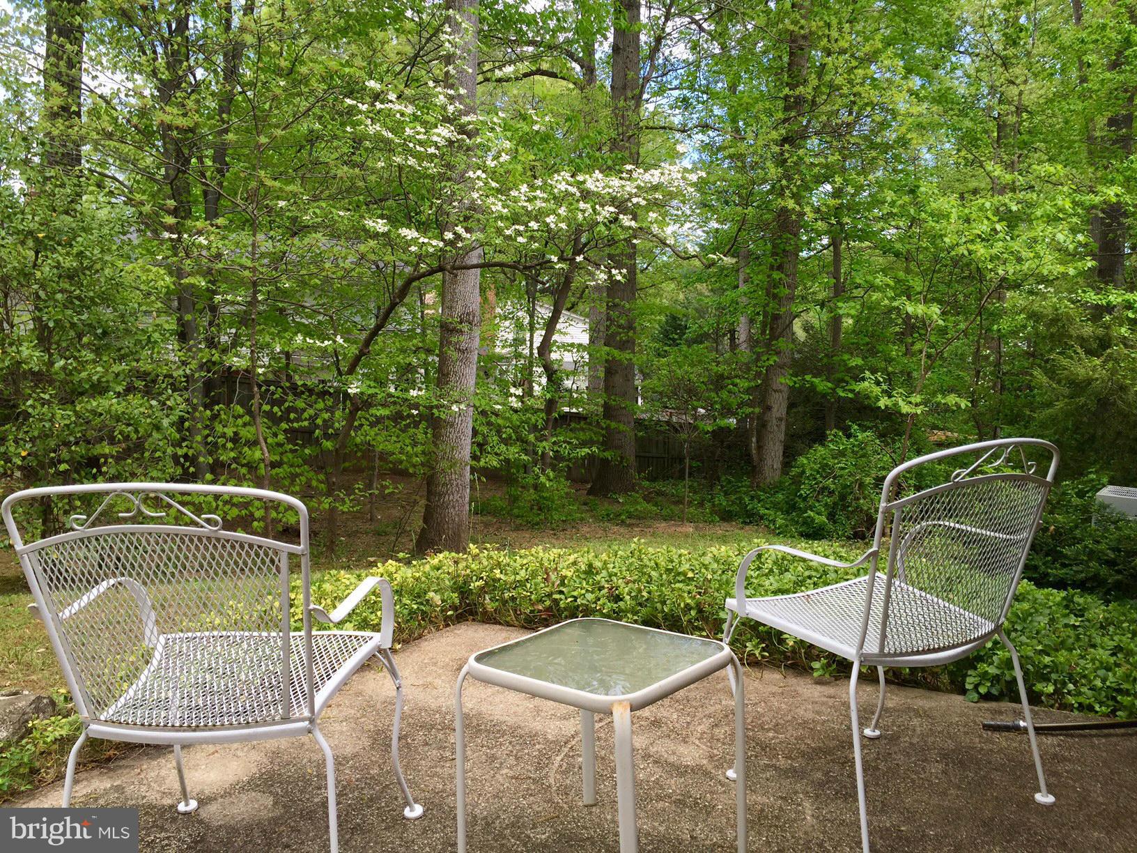6802 Quebec Court Springfield, VA 22152 - Photo 24 of 30 Patio in Spring