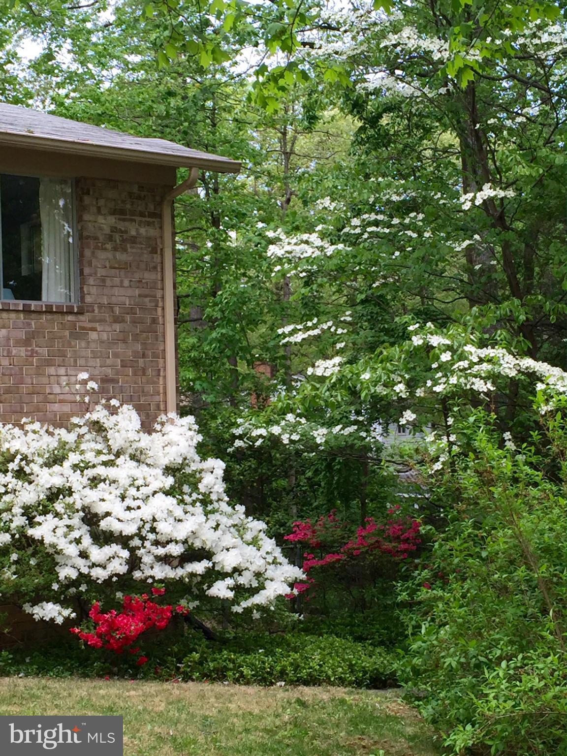 6802 Quebec Court Springfield, VA 22152 - Photo 25 of 30 Spring