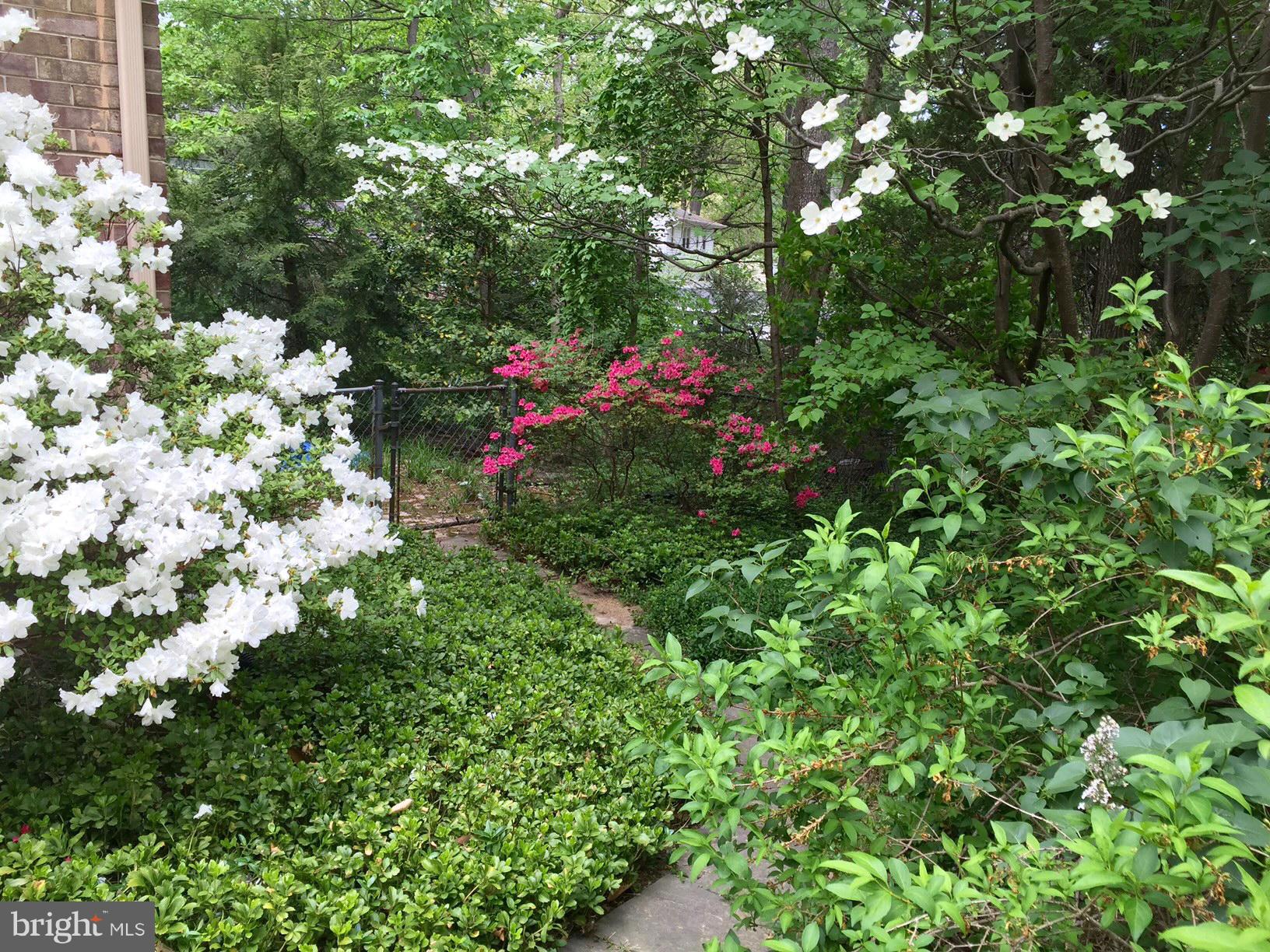 6802 Quebec Court Springfield, VA 22152 - Photo 26 of 30 Spring
