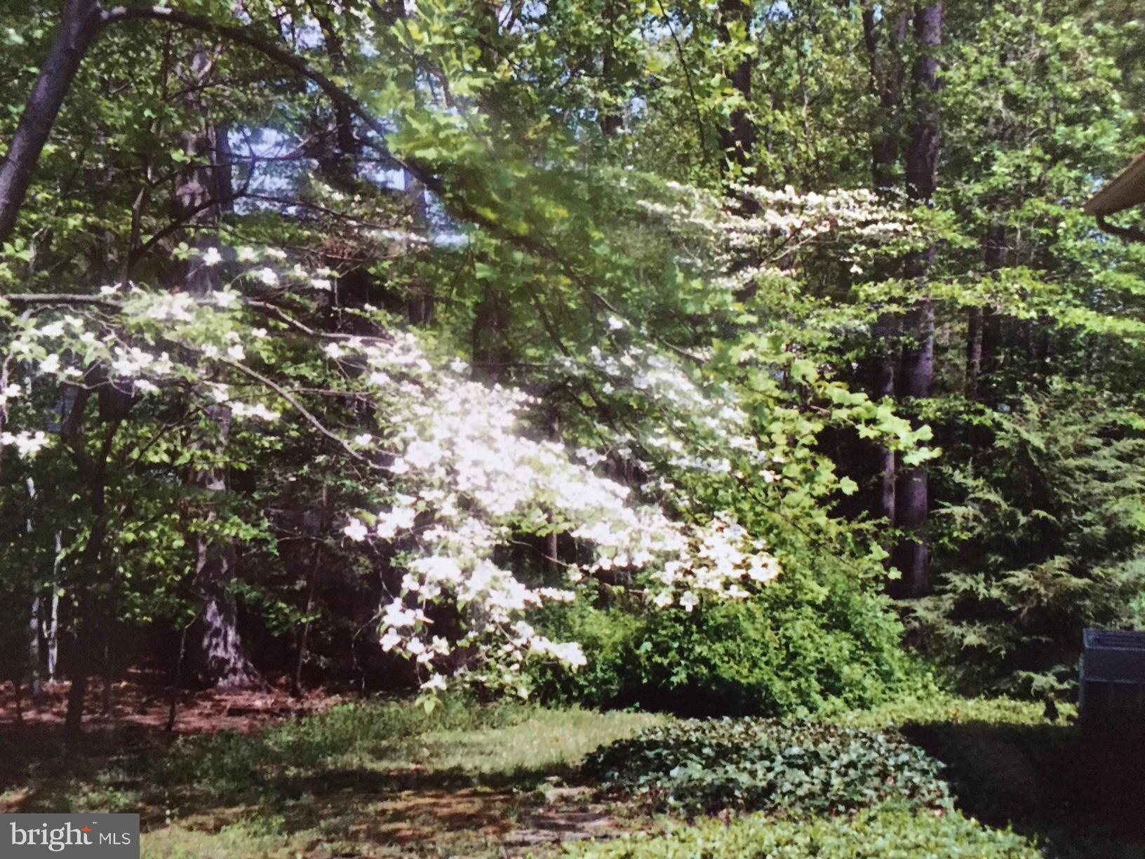 6802 Quebec Court Springfield, VA 22152 - Photo 27 of 30 Dogwood