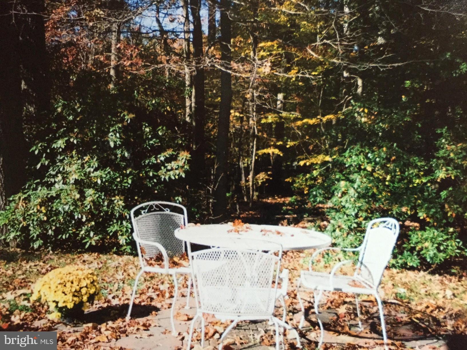 6802 Quebec Court Springfield, VA 22152 - Photo 28 of 30 Fall