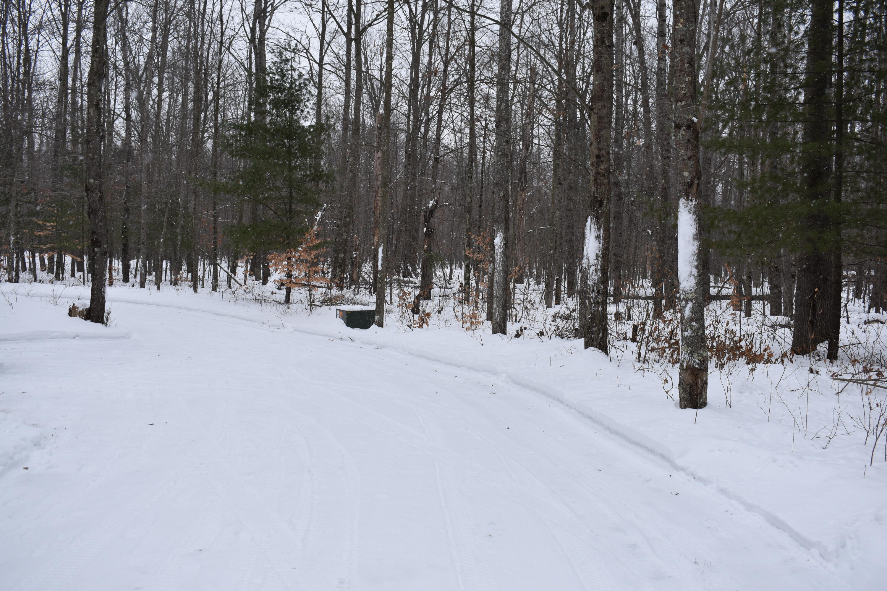 5895 South Woods Road Branch, MI 49402 - Photo 41 of 42 DSC_0134