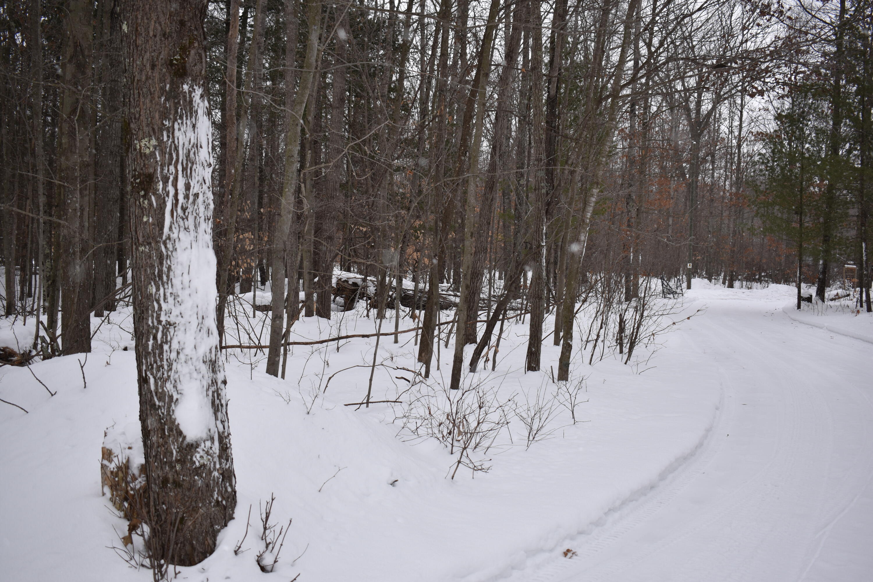 5895 South Woods Road Branch, MI 49402 - Photo 42 of 42 DSC_0137
