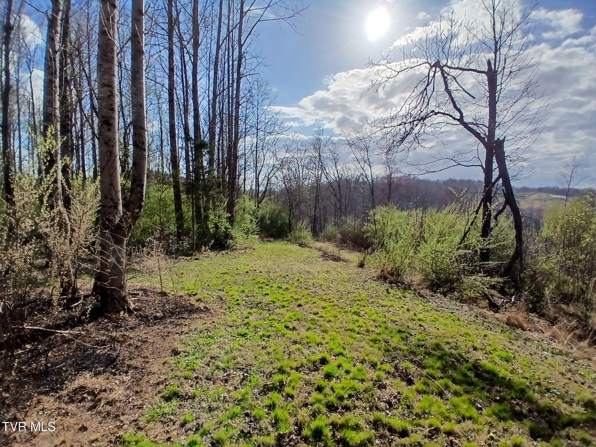 4314 Big Hill Road Pennington Gap, VA 24277 - Photo 7 of 35 1000003291
