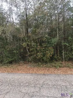 $12,000 | Tbd Eunice Avenue, Bogalusa, LA 70427