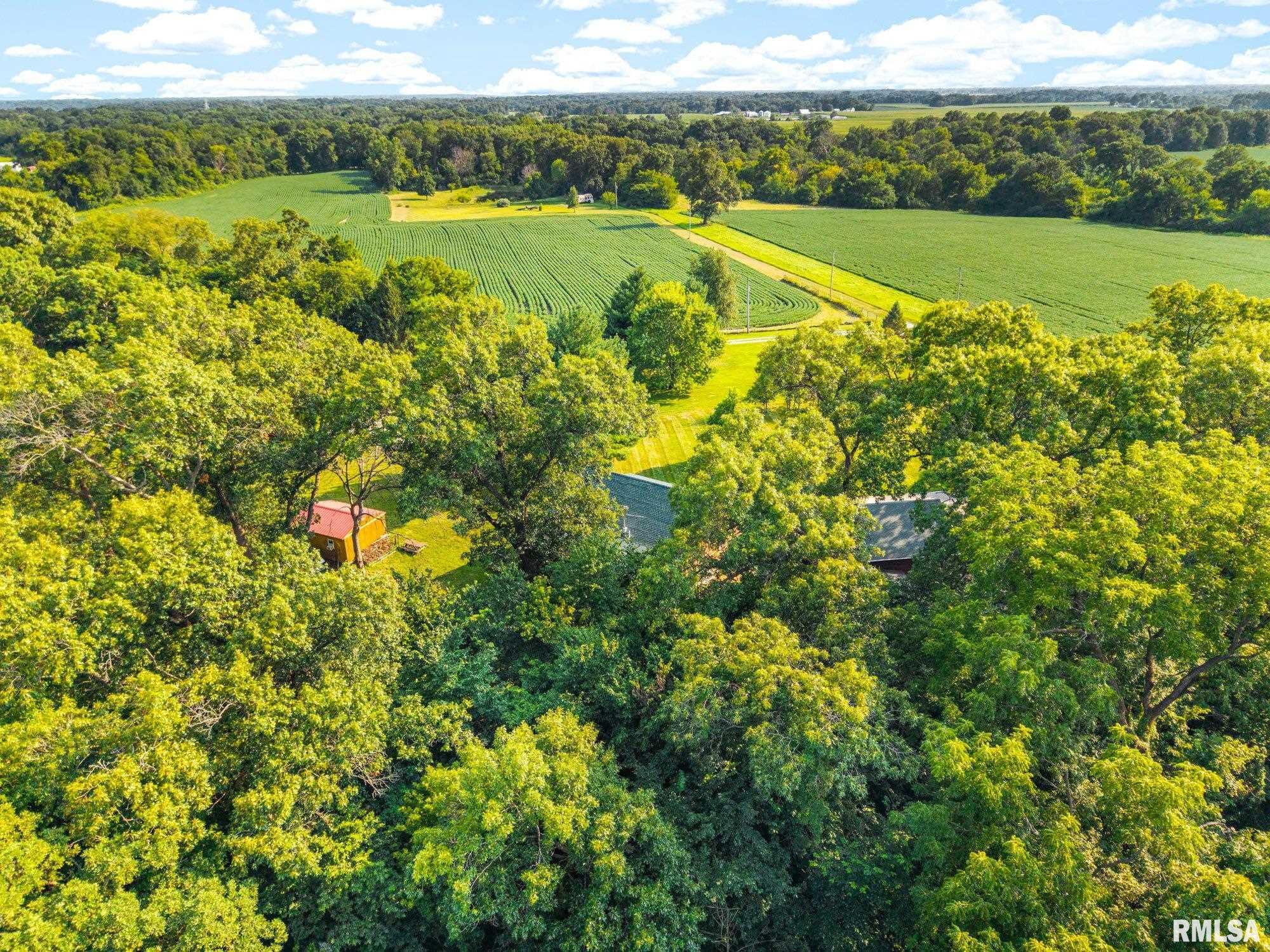 28829 North Bitner Road Glasford, IL 61533 - Photo 44 of 61 Gallery Image 44