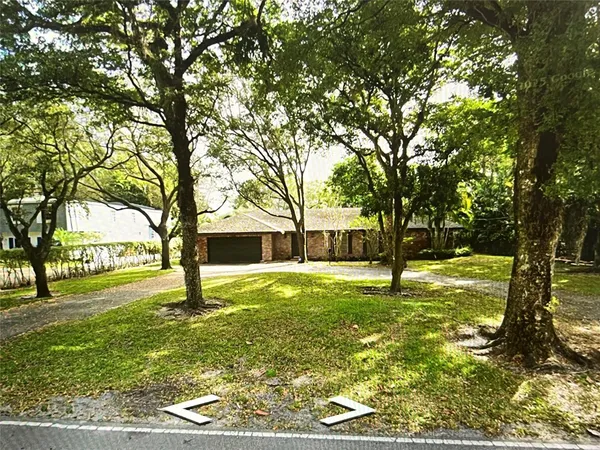a view of a yard with a tree