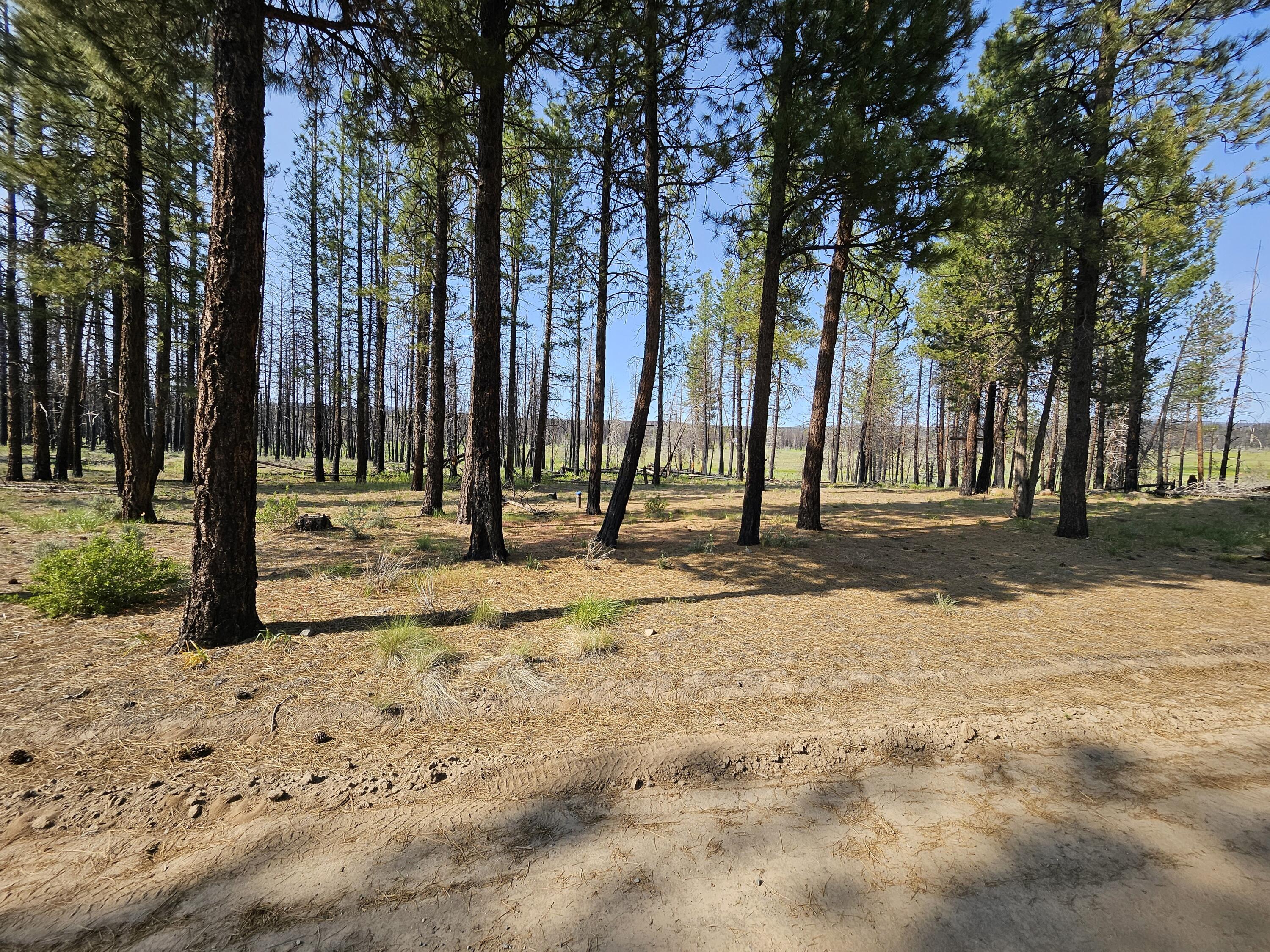8 Parazoo Trail Bly, OR 97622 - Photo 1 of 27 view from road