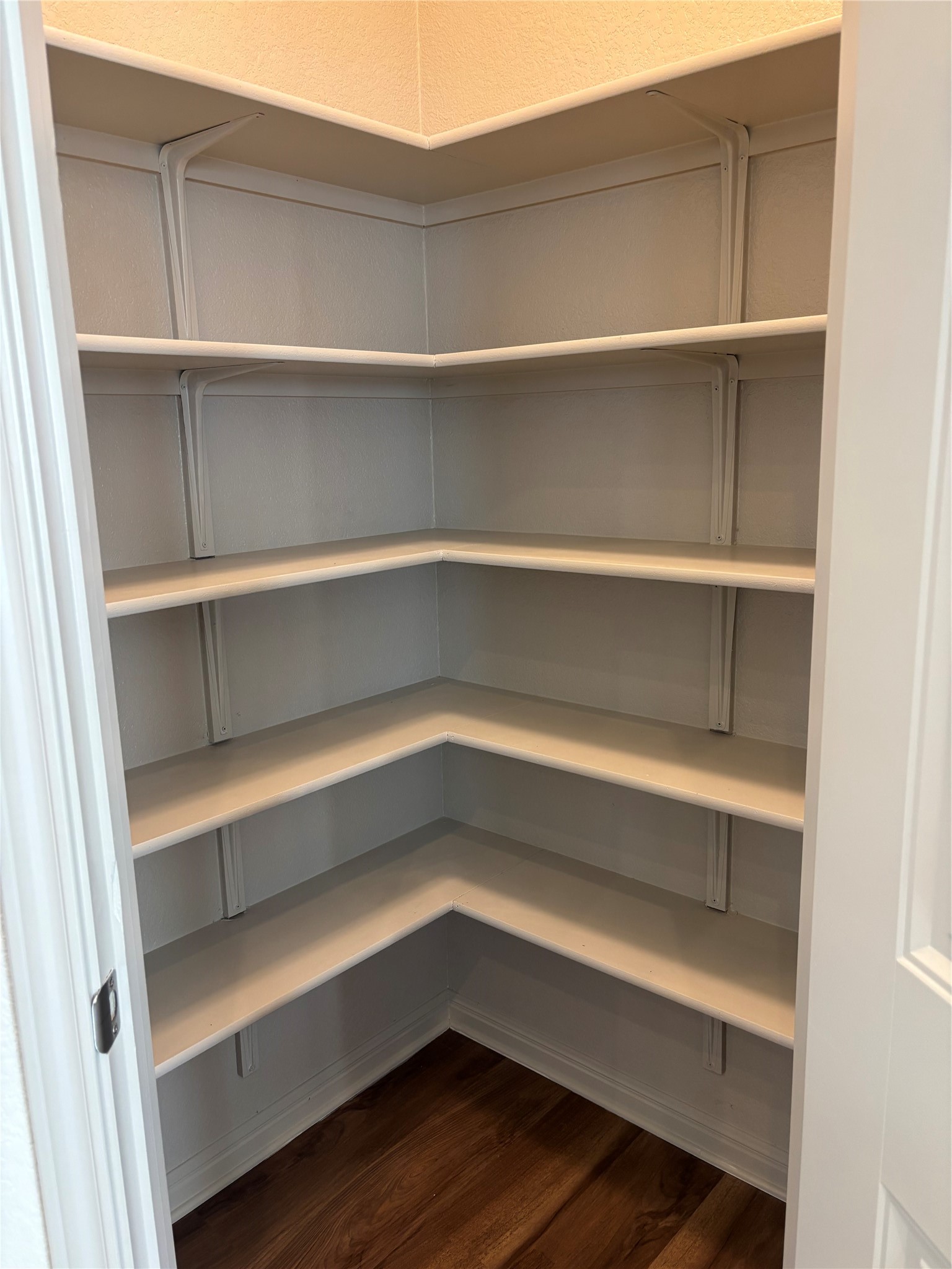 18401 Calasetta Drive Pflugerville, TX 78660 - Photo 16 of 35 Nice size pantry