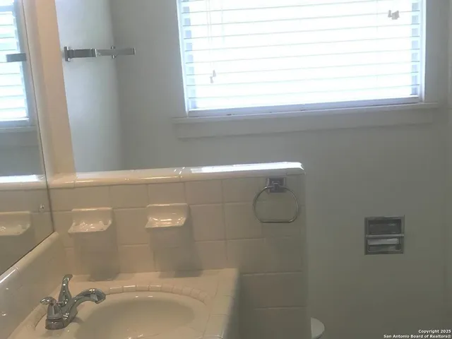 a view of a garden with plants