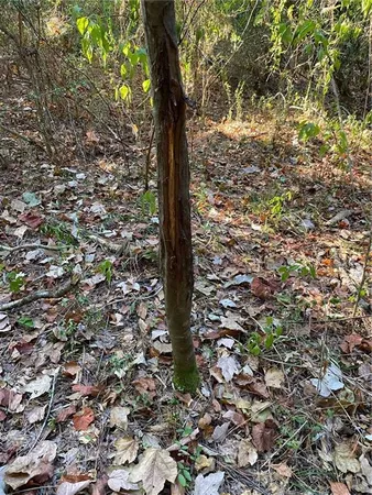 $744,000 | 4 East Yeager Drive, Ball, LA 71405