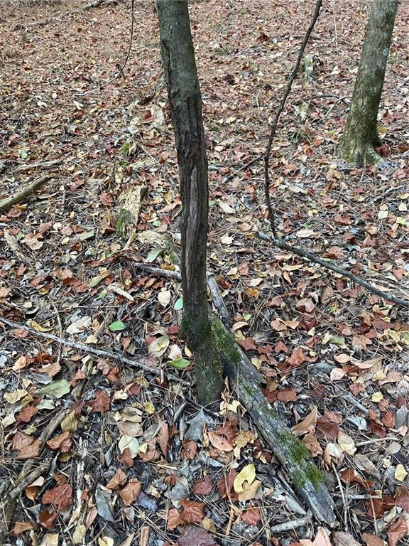 4 East Yeager Drive Ball, LA 71405 - Photo 14 of 30