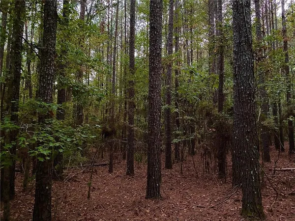 $744,000 | 4 East Yeager Drive, Ball, LA 71405