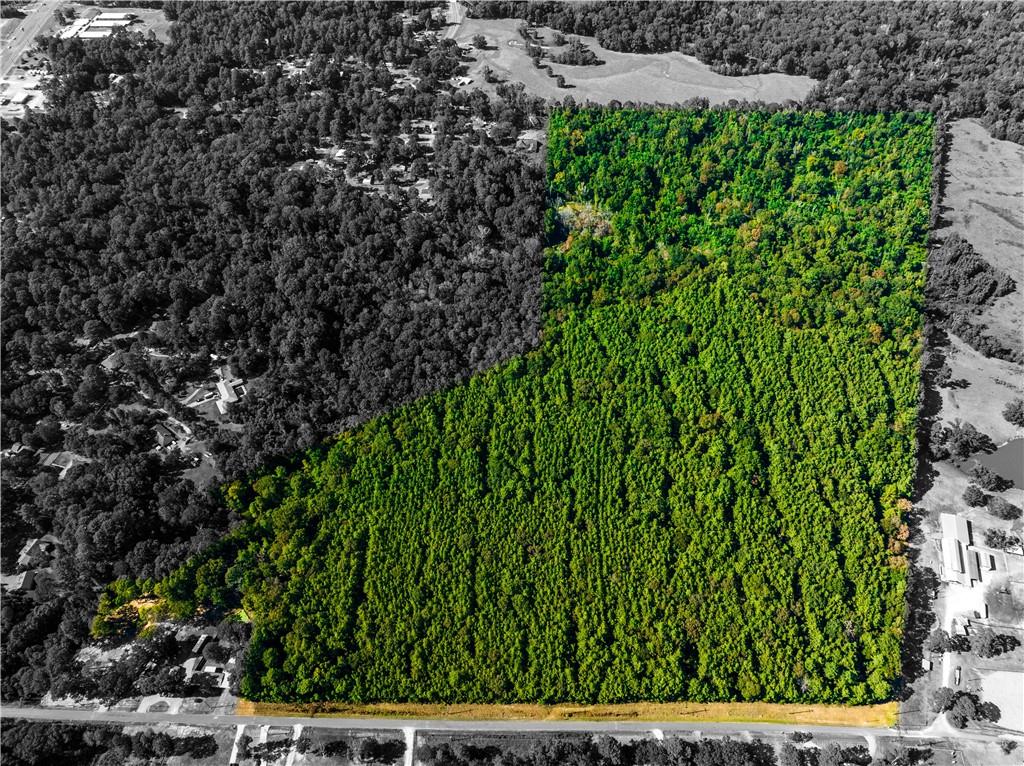 4 East Yeager Drive Ball, LA 71405 - Photo 4 of 30