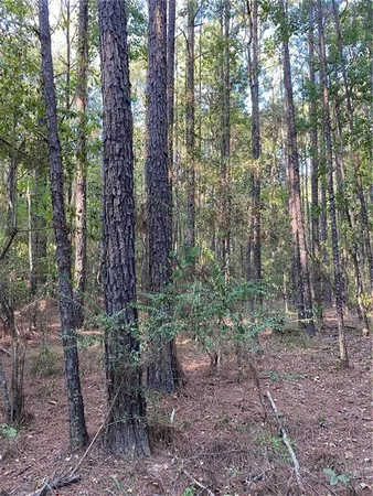 $744,000 | 4 East Yeager Drive, Ball, LA 71405