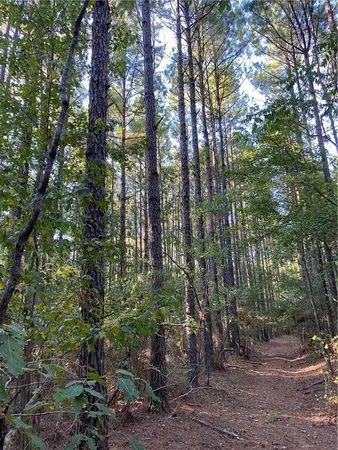 $744,000 | 4 East Yeager Drive, Ball, LA 71405