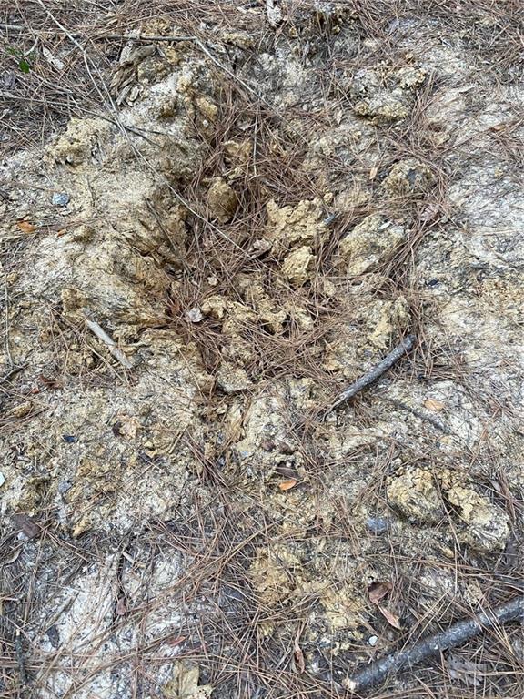 4 East Yeager Drive Ball, LA 71405 - Photo 10 of 30