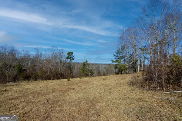 a view of a dry yard