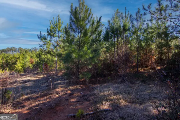 $144,900 | Tract 6-0 Chestnut Grove Road, Shiloh, GA 31826