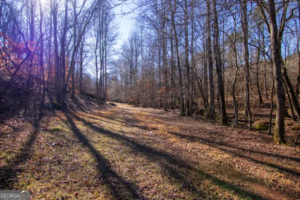 $144,900 | Tract 6-0 Chestnut Grove Road, Shiloh, GA 31826