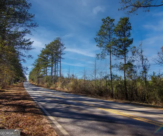 $144,900 | Tract 6-0 Chestnut Grove Road, Shiloh, GA 31826
