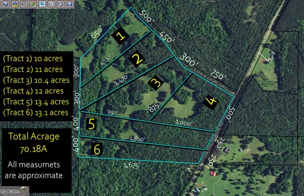 $144,900 | Tract 6-0 Chestnut Grove Road, Shiloh, GA 31826