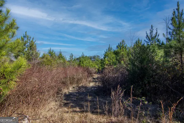 $144,900 | Tract 6-0 Chestnut Grove Road, Shiloh, GA 31826